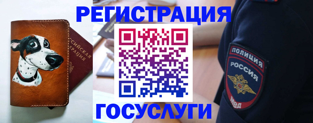 временная регистрация в квартире в Черногорске